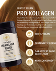 Kollagen Pulver (vegan)