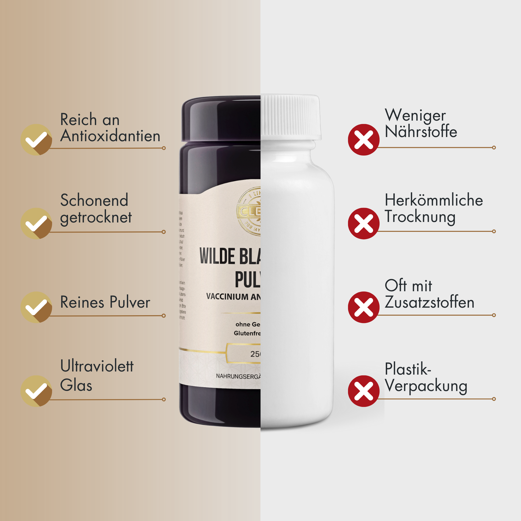 Wilde Blaubeere Pulver aus Kanada